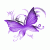 papillon-violet-030209